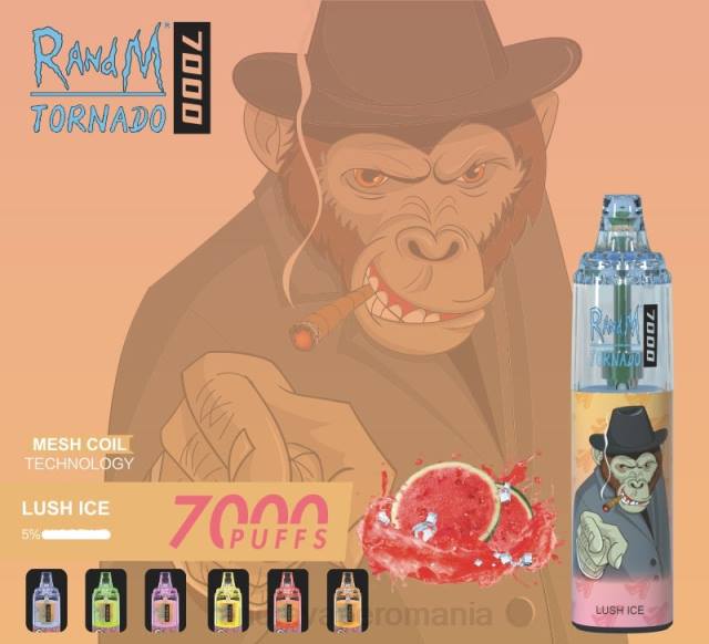 Best RandM Flavor - RandM Tornado 7000 dispozitiv de vape pentru controlul fluxului de aer 1buc HXFL165 gheață luxuriantă